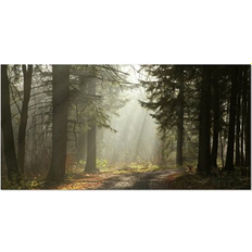 Design Art Green Forest with Sun Rays - Landscape Photography Wall Decor