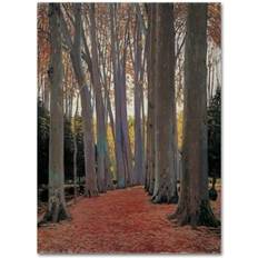 Trademark Fine Art 'Avenue Of The Trees' Print on Framed Art