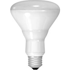 GE 20330 45 Watt Floodlight BR30 Light Bulb, Soft