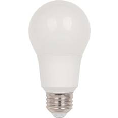 Westinghouse 53190 11OMNIA19/LED/SW/30 A19 A Line Pear Light Bulb