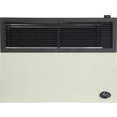 Ashley 17,000 BTU Direct Vent Natural Gas Heater