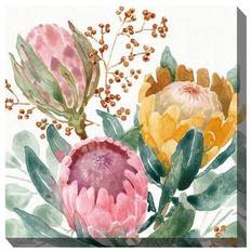 Protea Passion Outdoor of the Wind