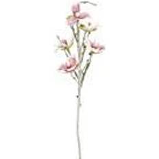 Rosa Künstliche Pflanzen Europalms magnolienzweig eva, weiß-rosa Künstliche Pflanzen