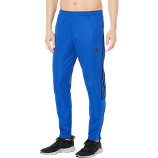 Adidas Tiro 21 Track Pants Men - Team Royal Blue/Black