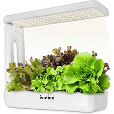 Pots, Plants & Cultivation Ivation Herb Garden Growing Kit White
