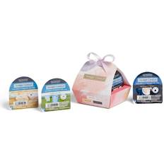 Glass Wax Melt Yankee Candle Gift Set 3 Wax Melts Box The Park Collection Scented Candle
