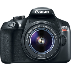 Canon EOS Rebel T6 + EF-S 18-55mm F4-5.6 IS STM + EF 75-300mm