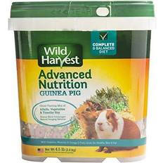 Guinea pig Pets Harvest Advanced Nutrition Guinea Pig Food, 4.5-lb tub