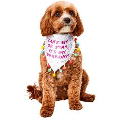 Sprinkle birthday bandana pet costume