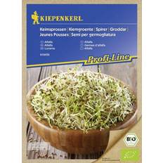 Heckenpflanzen Kiepenkerl Keimsprossen Profi-Line Alfalfa Medicago sativa, Inhalt: