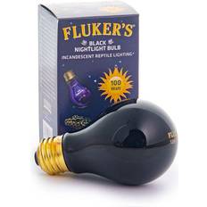 Flukers black nightlight incandescent bulb 100 watt
