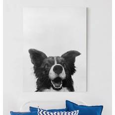 Schwarz Bilder Illustration Hund Border Collie von Laura Graves Bild