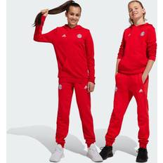 FC Bayern München Bukser & Shorts Adidas Sweatpant Lifestyle