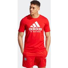 FC Bayern München T-Shirts Adidas Fc Bayern Dna Graphic Herren T-Shirts