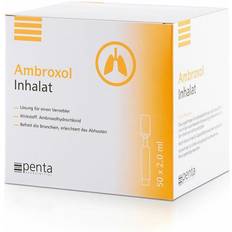 Vernebler Penta Arzneimittel Ambroxol Inhalat Inhalationslösung