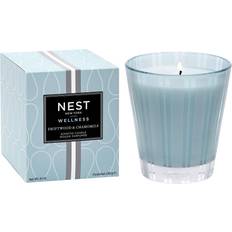 NEST New York Driftwood & Chamomile Scented Candle 8.1oz