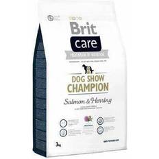 Brit Hunde Haustiere Brit Care Dog Hypoallergenic Dog Show Champion Salmon.