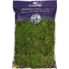 Find Reindeer Moss by Ashland® at Michaels