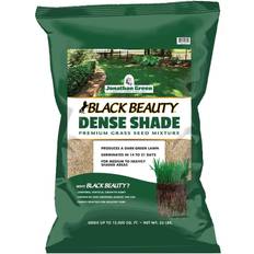 Green Black Beauty Dense Shade Grass Seed Mix, 25lb bag