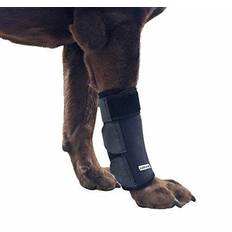  NeoAlly- Front Leg Brace for Dogs & Cats, Dog Leg