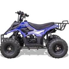 ATVs MotoTec Rex 110Cc