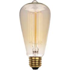 Incandescent Lamps Westinghouse 60 watt st20 timeless vintage inspired bulb