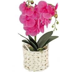 Artificial flower arrangements • Compare prices »