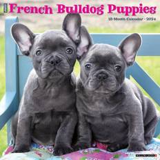 Willow Creek Press Calendars Willow Creek Press Just French Bulldog Puppies 2024