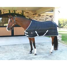 Buy Horze Glasgow Stable Rug / Under Rug Full Neck, 150g