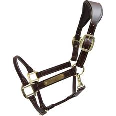 Halfter Kentucky Horsewear Lederhalfter Anatomic Schwarz