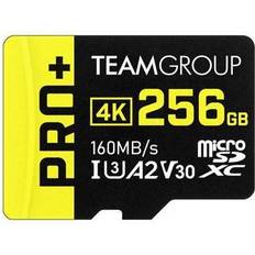 EXPERT SDXC UHS-II U3 V90 Memory Card 512GB - TEAMGROUP