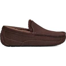 43 ½ Loafers UGG Ascot - Dusted Cocoa