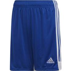 Adidas Tastigo 19 Youth Shorts, Blue/White YS