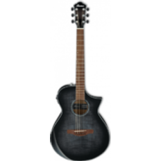 Ibanez Acoustic Guitars Ibanez AEWC400