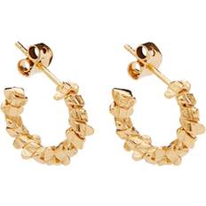 Pico Astrid Hoops - Gold