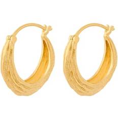 Dame Smykker Pernille Corydon Coastline Earrings - Gold