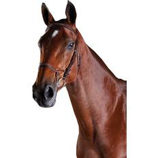 Bridles Collegiate ComFiTec Fancy Stitch Bridle