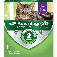 Pets Advantage XD 1-Topical Dose, 2-Months of Protection Per Dose Flea Prevention Treatment