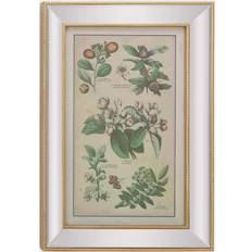 Litton Lane Large Vintage Style Plant Illustrations Textile Wall Decor 19.5x28.5"