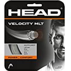 Tennisbälle Head Velocity MLT Set Tennissaite, Natural, 1size -