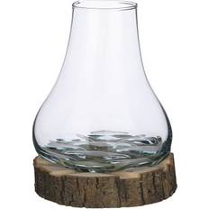 Vasen Mica Decorations Terrarium transparent transparent Vase