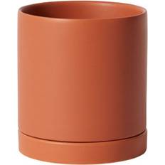 AllModern Carlotta Pot