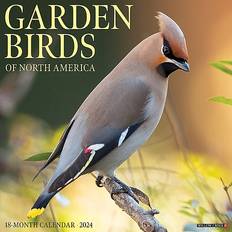 Willow Creek Press Calendars Willow Creek Press Garden Birds 2024