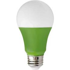 Green Light Bulbs (100+ products) compare price now »