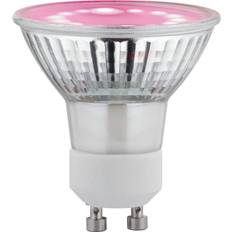 LEDs Paulmann Go Green GU10 3,5W LED-Pflanzenlampe