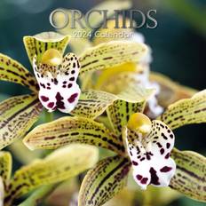 Beige Kalender Orchids 2024 Wall Calendar