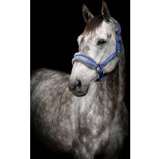 Blå Grimer Källquist Equestrian- Grime Horse Unique Royal Blå X-Full