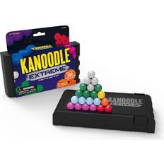 IQ Puzzles Educational Insights Kanoodle Extreme