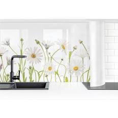 Spritzschutz Küchenrückwand Blumen Leichter Gänseblümchen Mix II Spritzschutz