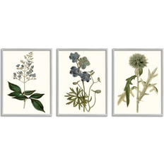 Stupell Industries Vintage Blue Botanical Flowers on Beige Curtis 3 Framed Art